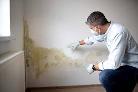 Best Water Damage & Mold Remediation  in Hildale, UT